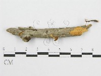 登錄號:F0011040藏品圖，第3張