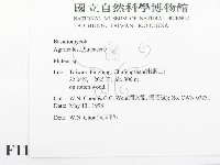登錄號:F0011042藏品圖，第2張