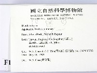 登錄號:F0011043藏品圖，第2張