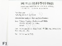 登錄號:F0011044藏品圖，第2張