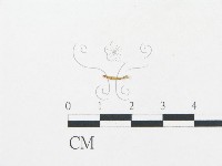 登錄號:F0011044藏品圖，第1張