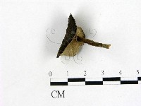 登錄號:F0011046藏品圖，第1張