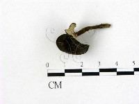 登錄號:F0011046藏品圖，第3張