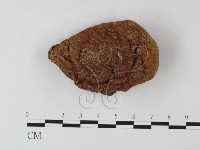 登錄號:F0011048藏品圖，第3張