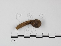 登錄號:F0011049藏品圖，第1張