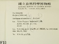 登錄號:F0011050藏品圖，第2張