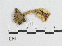 登錄號:F0011052藏品圖，第1張