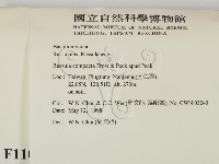 登錄號:F0011053藏品圖，第2張