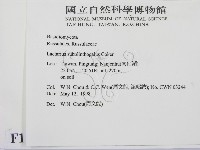 登錄號:F0011054藏品圖，第2張