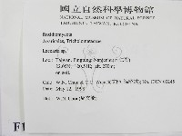 登錄號:F0011055藏品圖，第2張