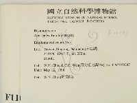 登錄號:F0011057藏品圖，第2張
