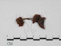 登錄號:F0011057藏品圖，第1張
