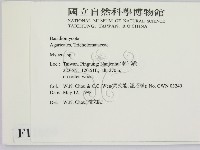 小菇屬藏品圖，第2張
