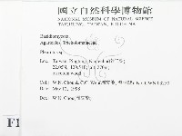 登錄號:F0011060藏品圖，第2張