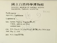 登錄號:F0011061藏品圖，第2張