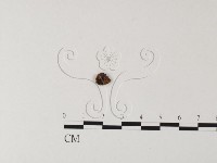 登錄號:F0011061藏品圖，第1張