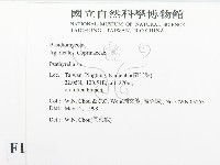 登錄號:F0011063藏品圖，第2張