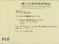 登錄號:F0011064藏品圖，第2張