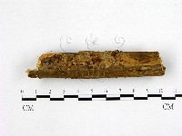 登錄號:F0011067藏品圖，第1張