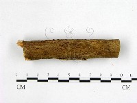 登錄號:F0011067藏品圖，第3張