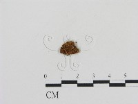 登錄號:F0011069藏品圖，第3張