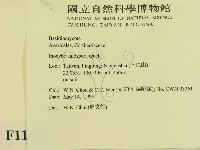 登錄號:F0011070藏品圖，第2張