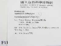 登錄號:F0011071藏品圖，第2張