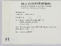 登錄號:F0011074藏品圖，第2張