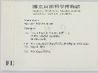 小菇屬藏品圖，第2張