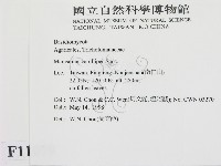 登錄號:F0011079藏品圖，第2張