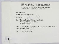 小菇屬藏品圖，第2張