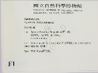 小菇屬藏品圖，第2張