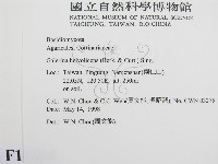登錄號:F0011084藏品圖，第2張