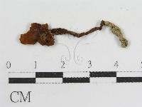 登錄號:F0011084藏品圖，第3張