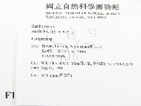 登錄號:F0011087藏品圖，第2張