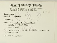 登錄號:F0011088藏品圖，第2張