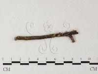 登錄號:F0011088藏品圖，第1張