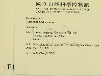登錄號:F0011089藏品圖，第2張