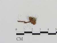 登錄號:F0011089藏品圖，第1張
