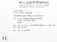 登錄號:F0011091藏品圖，第2張