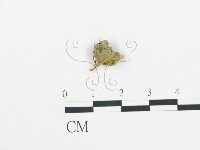 登錄號:F0011092藏品圖，第1張