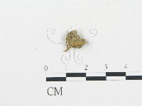 登錄號:F0011092藏品圖，第3張