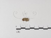 登錄號:F0011093藏品圖，第1張