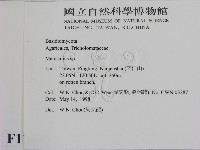 小皮傘屬藏品圖，第2張