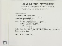 登錄號:F0011099藏品圖，第2張