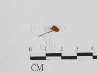 登錄號:F0011099藏品圖，第1張