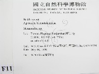 微皮傘屬藏品圖，第2張