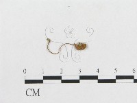 登錄號:F0011102藏品圖，第3張
