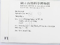 登錄號:F0011103藏品圖，第2張