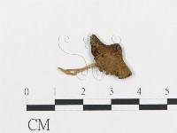 登錄號:F0011104藏品圖，第3張
